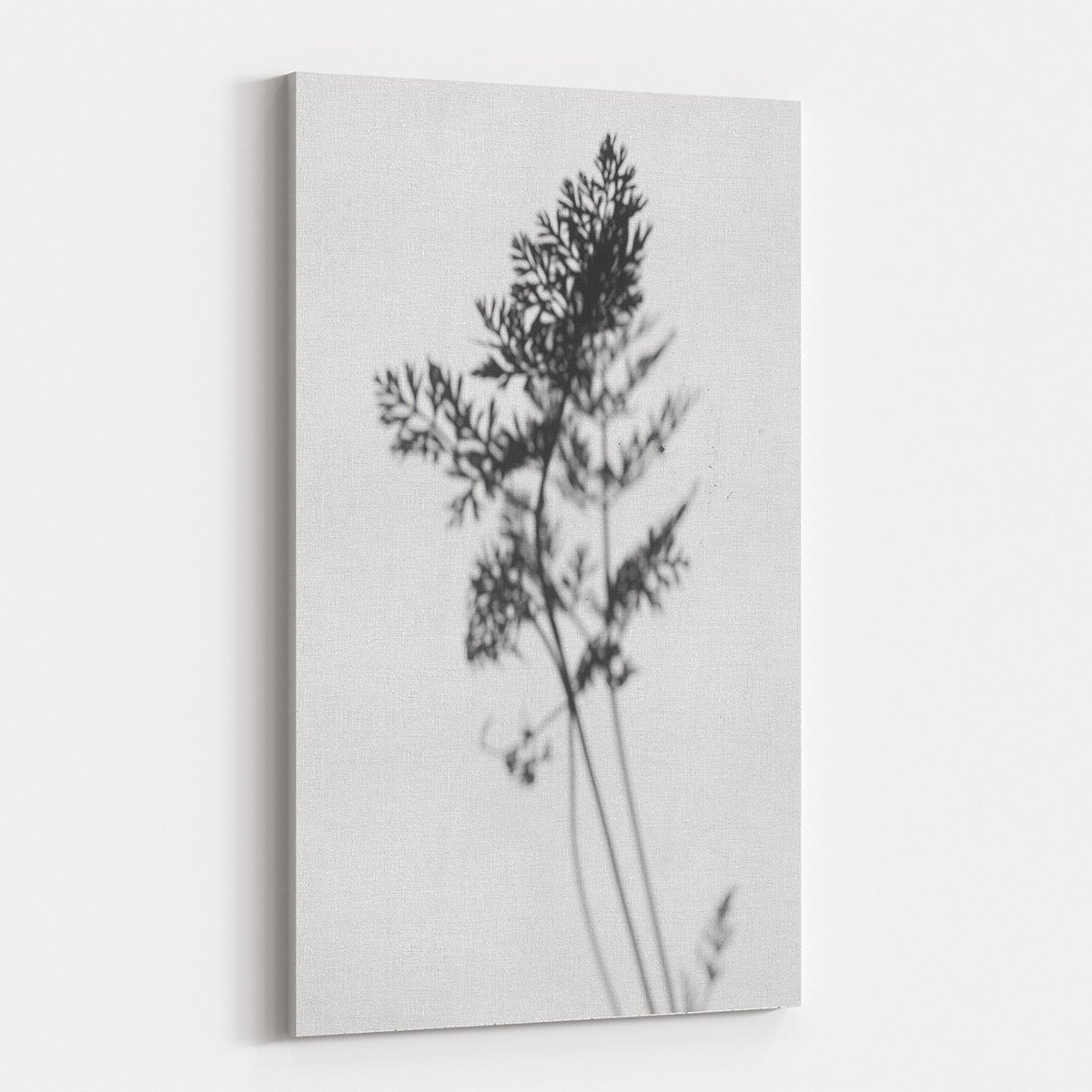 Canvas701 | Siyah Beyaz Çiçek Kanvas Tablo - 