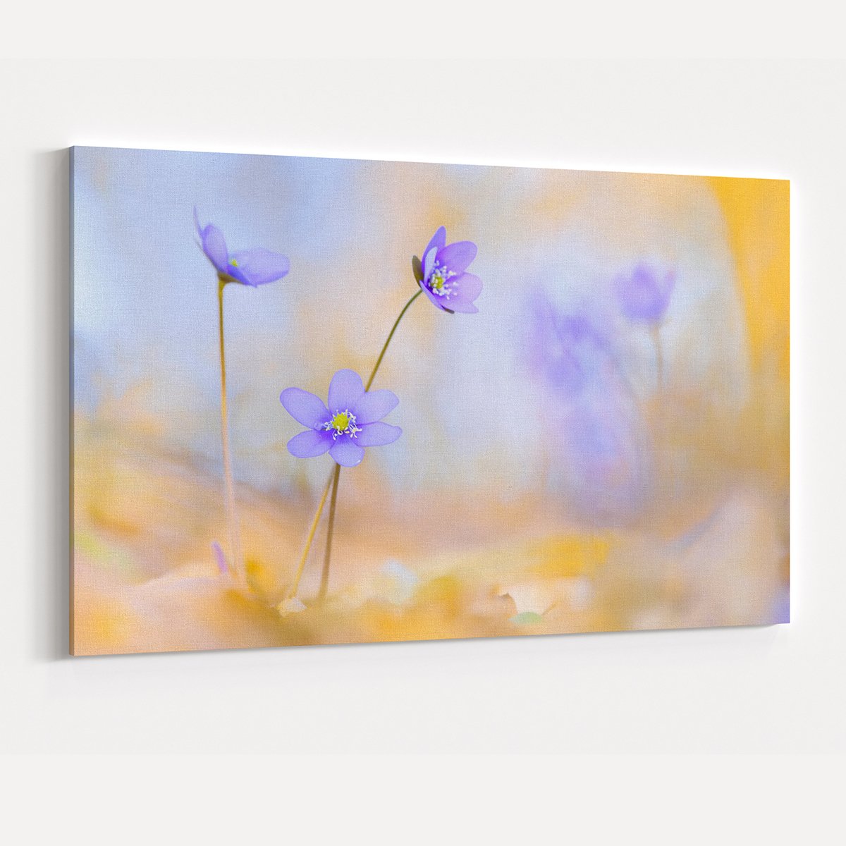 Canvas701 | Ebruli Zemin Çiçekler Kanvas Tablo - 