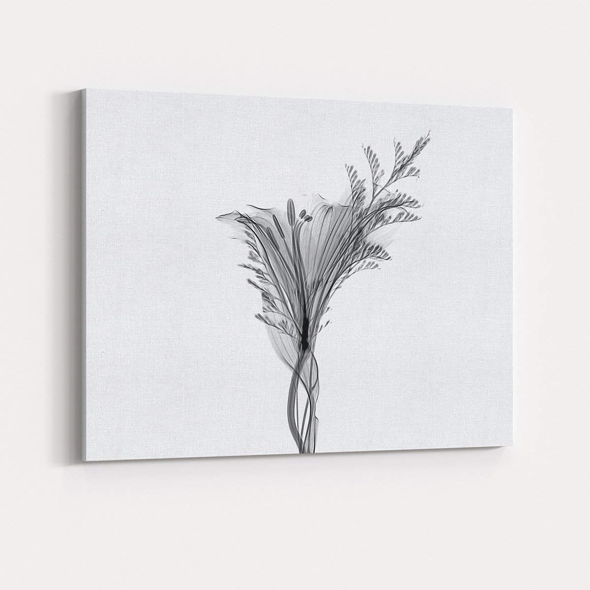 Canvas701 | Siyah Beyaz Çiçekler Kanvas Tablo - 