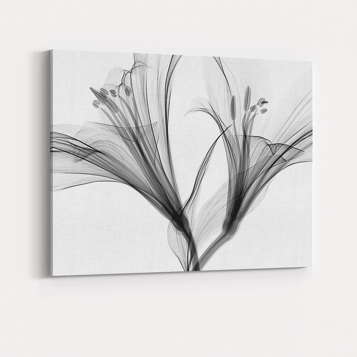 Canvas701 | Siyah Beyaz Çiçekler 2 Kanvas Tablo - 