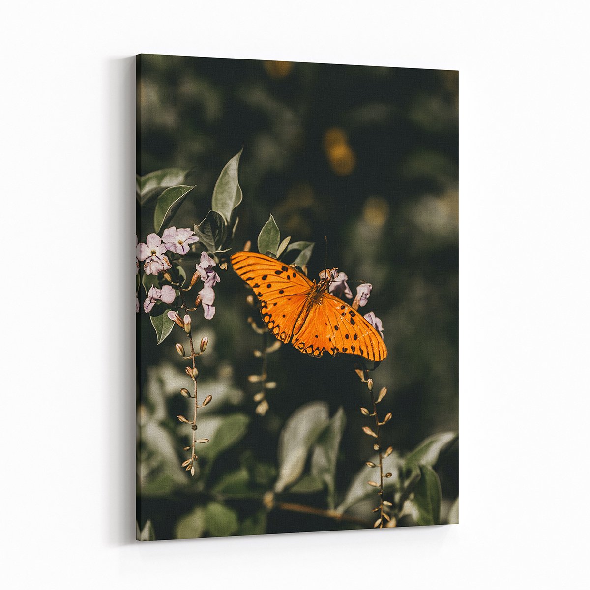 Canvas701 | Güzel Kelebek Kanvas Tablo - 