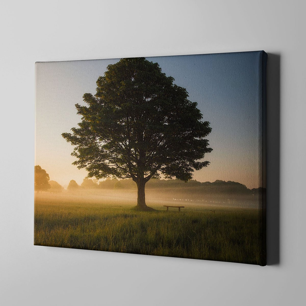 Canvas701 | Ağaç Manzara Kanvas Tablo - 