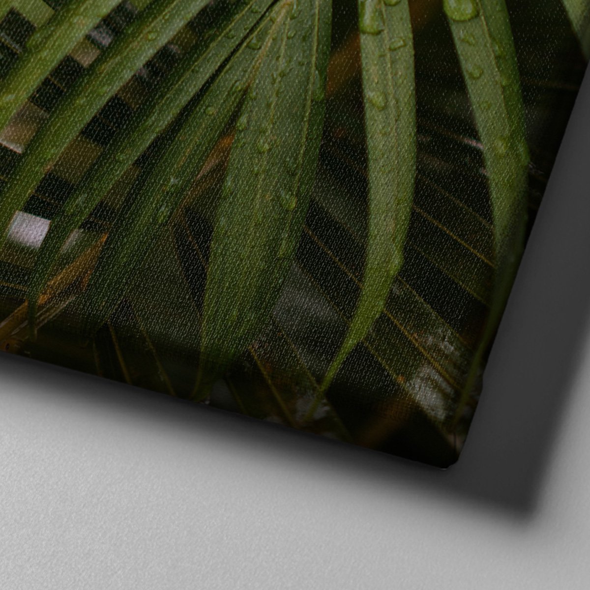 Canvas701 | Palmiye Yaprağı Kanvas Tablo - 