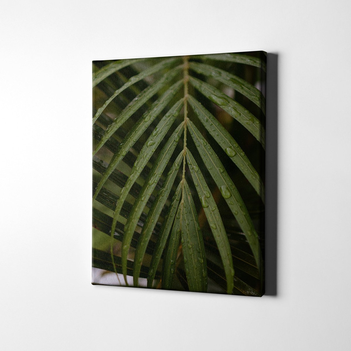 Canvas701 | Palmiye Yaprağı Kanvas Tablo - 